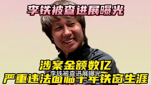 李铁被查进展曝光,涉案金额数亿,严重违法面临十年铁窗生涯