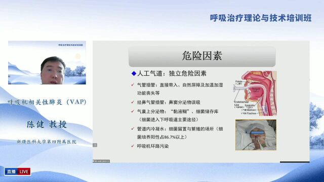 呼吸治疗理论与技术培训班呼吸机相关性肺炎(VAP)陈健