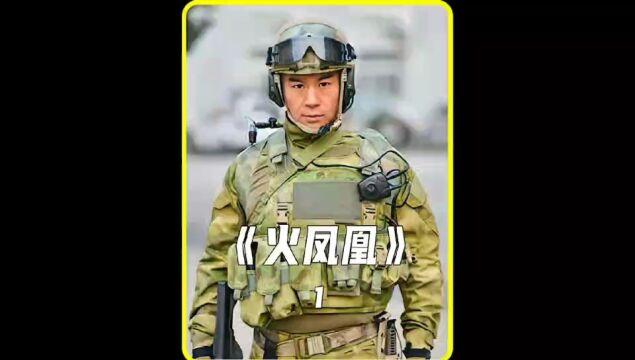 我是特种兵之火凤凰