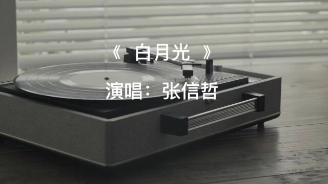 #白月光照天涯的两端 怀旧金曲 张信哲《白月光》