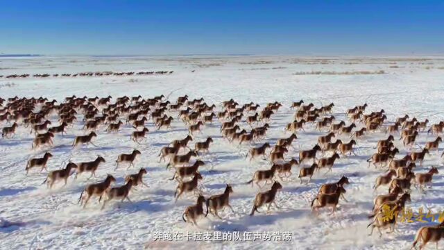 2023“中国北方冰雪旅游海外推广季”沙特利雅得海外宣传活动拉开帷幕