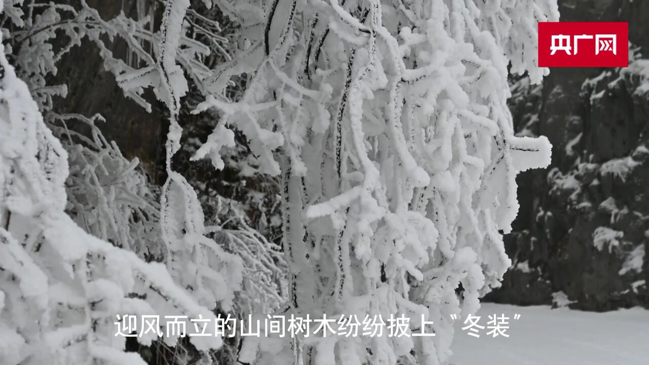 雪后初霁神农架 云雾飘渺似梦境