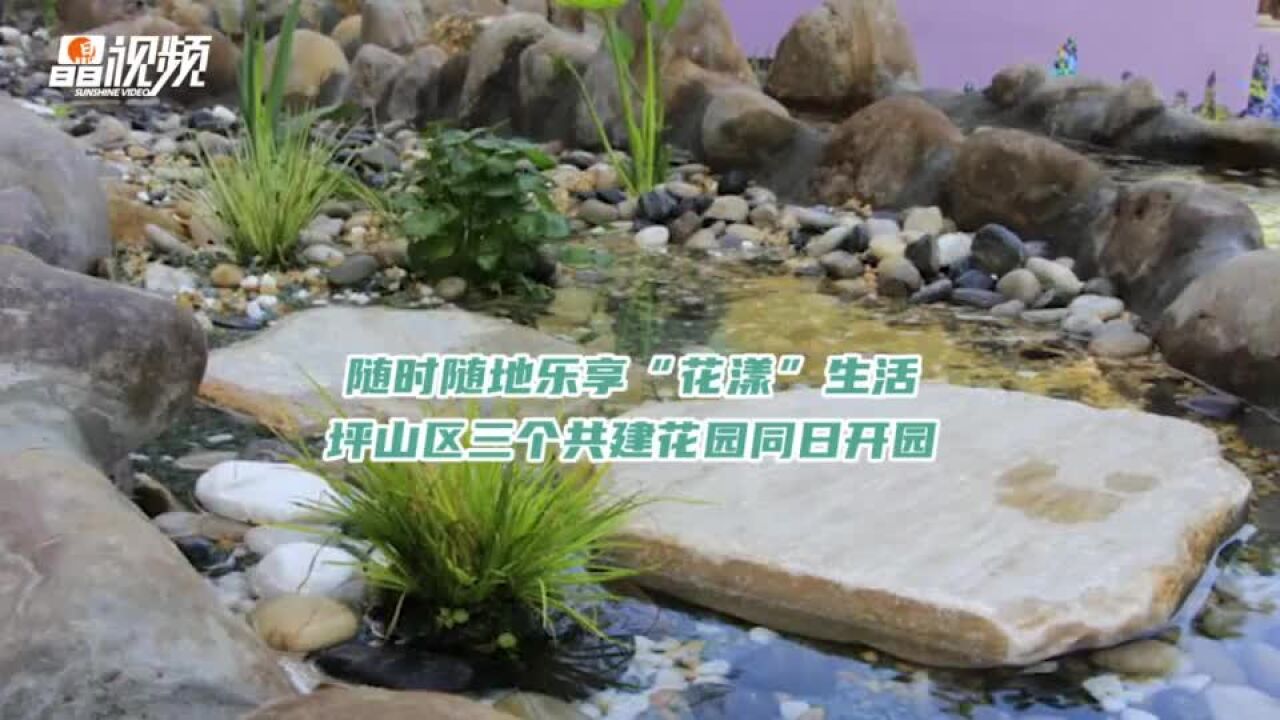 随时随地乐享“花漾”生活 深圳坪山三个共建花园同日开园