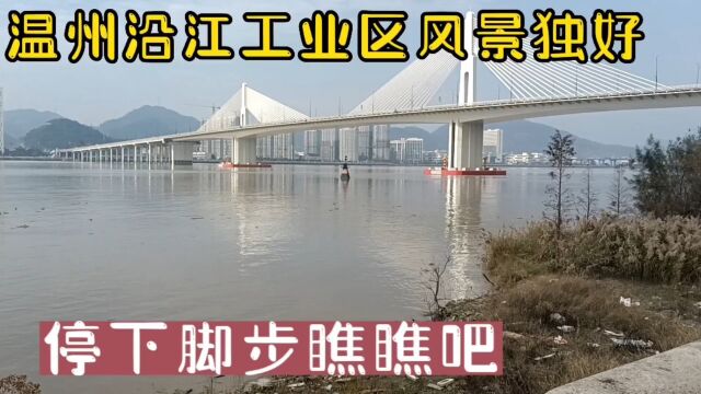 实拍温州3万人工业区沿江风景,极好休闲场所,美景不输大都市