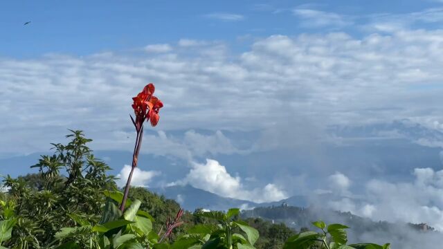 治愈系风景 喜马拉雅山脉 云海 尼泊尔纳加阔特,目之所及地球最高的雪山群,和震撼的日出