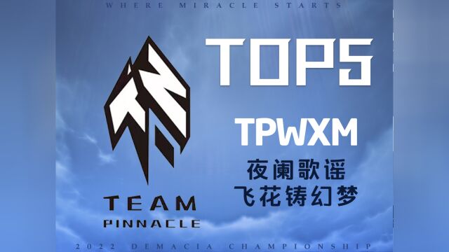 TOP5:WXM夜阑歌谣 飞花铸幻梦