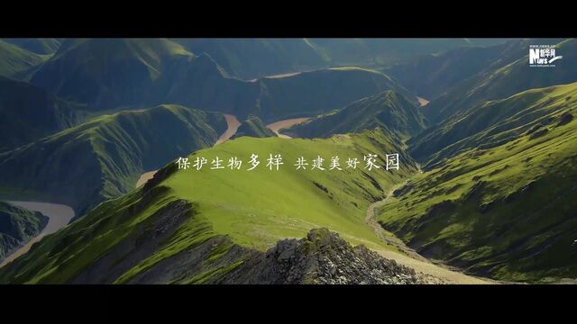 生物多样性|与自然共生