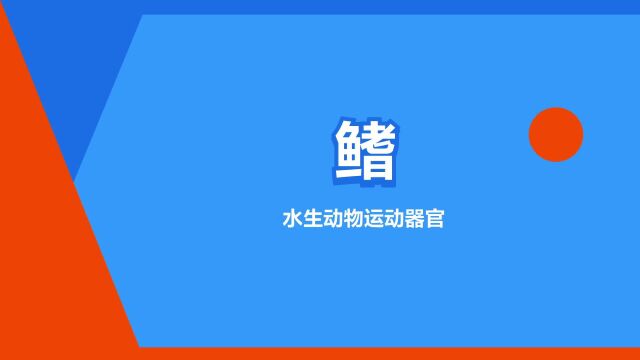 “鳍”是什么意思?