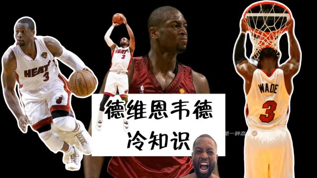 NBA冷知识德维恩韦德