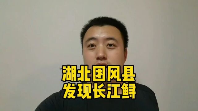 湖北团风县发现长江鲟意味着什么?