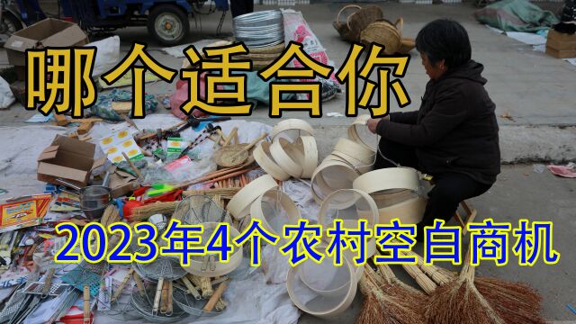 2023年农村4个非常赚钱的行业,市场空白需求大,哪个更适合你