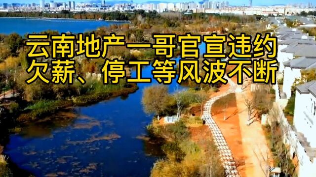 “云南地产一哥”官宣违约,欠薪、停工,风波不断!