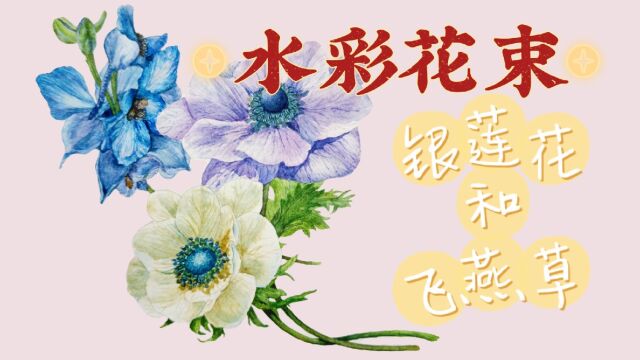 水彩过程「银莲花和飞燕草」附线稿