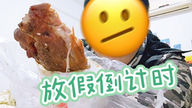 日常vlog正式进入放假倒计时,结果今天突然有工作要加班,坚持住