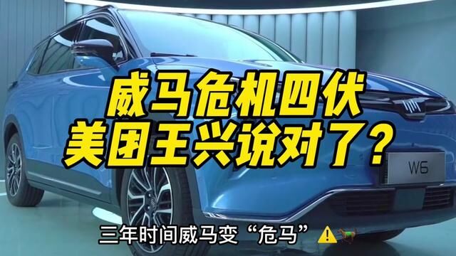 威马汽车已经威风不在,造车新势力未来格局真让美团王兴说对了! #新能源汽车 #理想汽车 #小鹏汽车 #新势力造车 #电动汽车