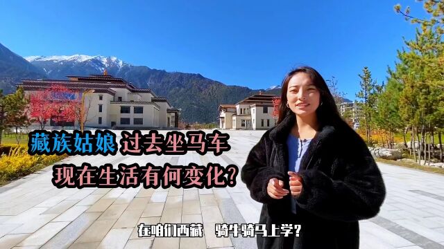 西藏都是骑牛骑马上学吗?卓玛带你看西藏学校,藏族同学精神饱满