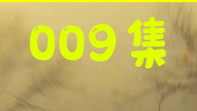 《天蚕变再与天比高》