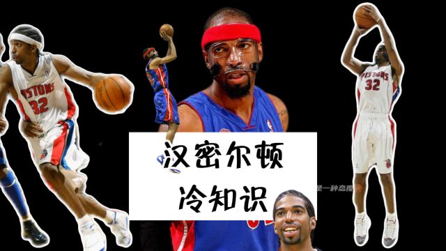 NBA冷知识理查德汉密尔顿