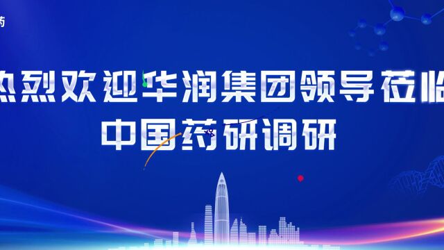 调研活动动态主视觉视频动态海报动态展板视频