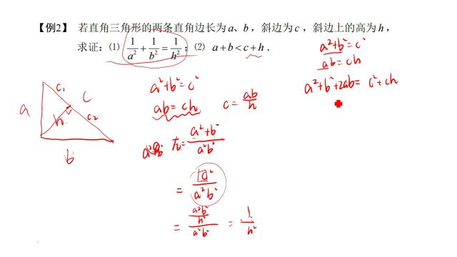 专题07 直角三角形