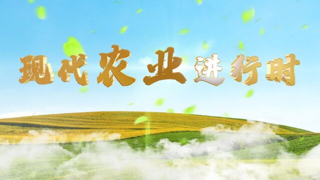 现代农业进行时 五十二期 吕梁市基地建设项目粮食烘干现场演示会在孝义市举办