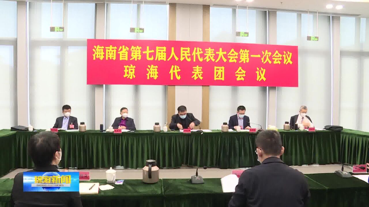 聚焦2023省两会丨琼海代表团举行首次会议 推选田志强为团长 傅晟 张国东为副团长