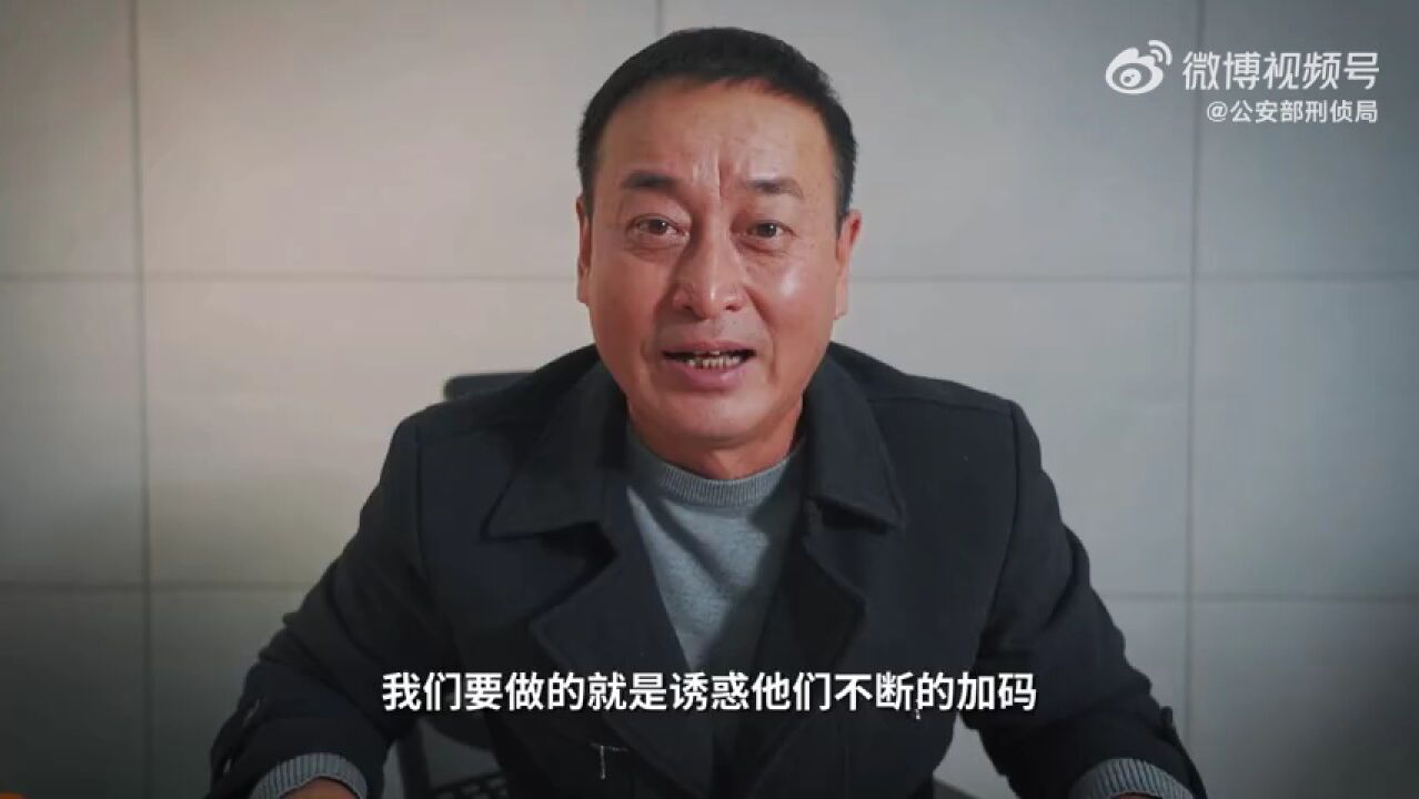 这场“招聘会”谁是老大?刑侦利剑守护平安