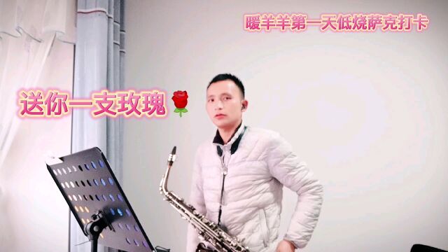 萨克斯自学演奏经典《送你一支玫瑰花》