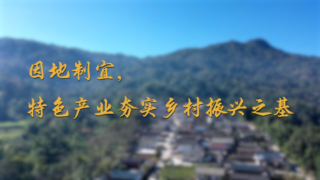 乡村振兴之路|因地制宜,特色产业夯实乡村振兴之基