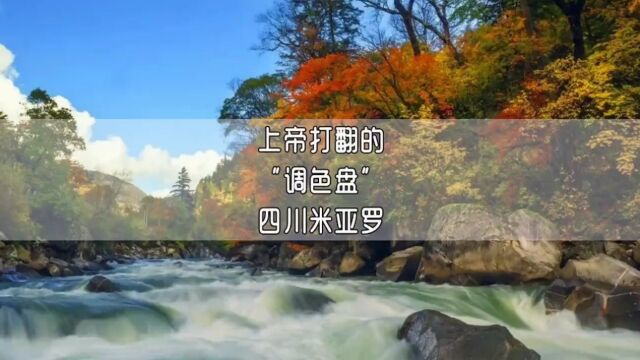 上帝打翻的'调色盘'四川米亚罗,你去过这里吗?