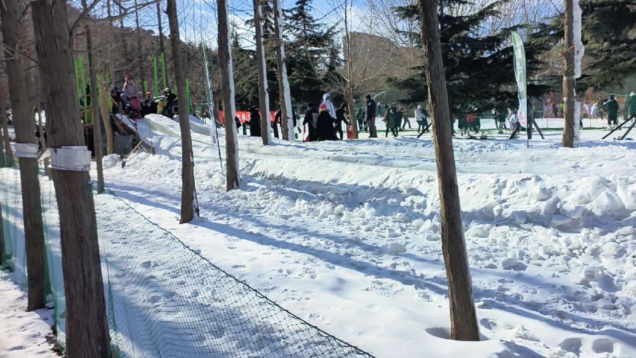 大连劳动公园可以滑雪,排队人太多了,还能打爬犁