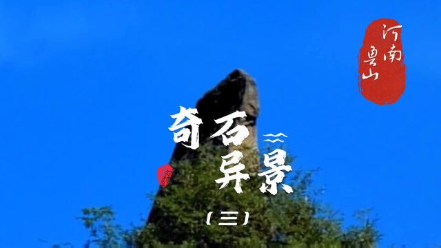 海豚问天,豫西山沟里竟然藏着这样独特的巨石.奇石异景(三)