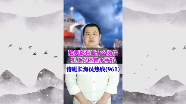 船员都有些什么岗位?机工好还是水手好(猪班长海员热线961期)