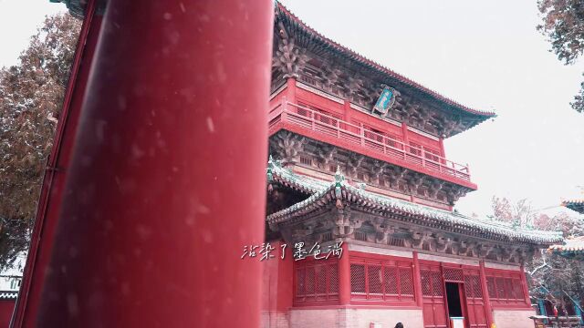 隋朝开建的古刹,被誉为“京外名刹之首”,“隆兴寺”,又名“大佛寺”,初名“龙藏寺”,唐改名龙兴寺