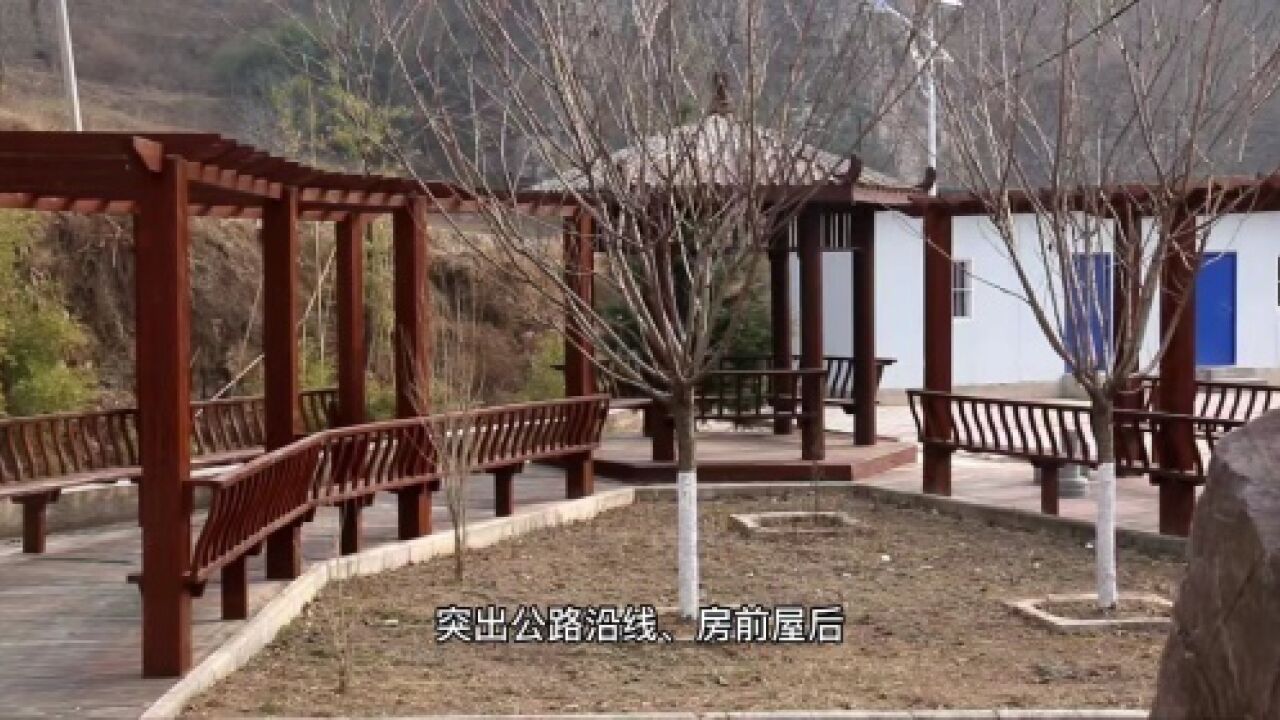 乡村振兴|加强环境卫生整治、美化房前屋后,洛南陈台村有了新变化