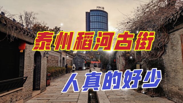 泰州稻河古街区游客不多,当年朱元璋流放了很多人来此重建泰州城