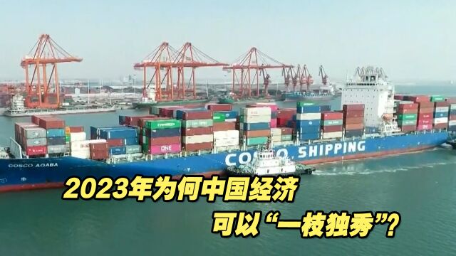 2023年全球经济前景堪忧,为何中国经济能“一枝独秀”?