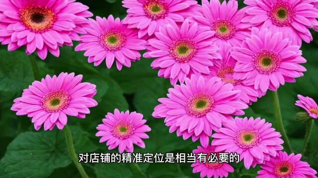 京诚宇翔:拼多多如何控制产品定位?