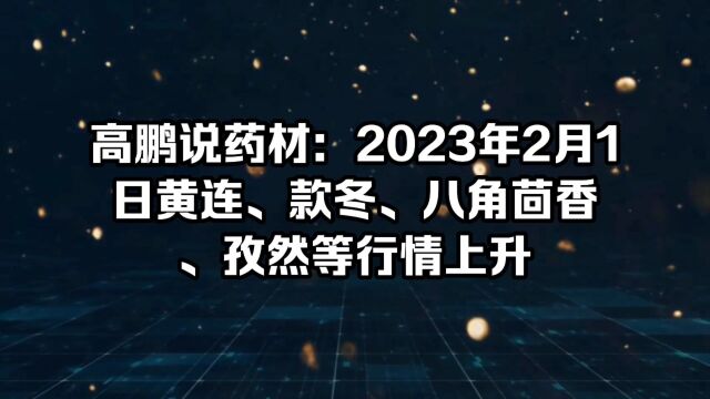 高鹏说药材:2023年2月1日黄连、款冬、八角茴香、孜然等行情上升