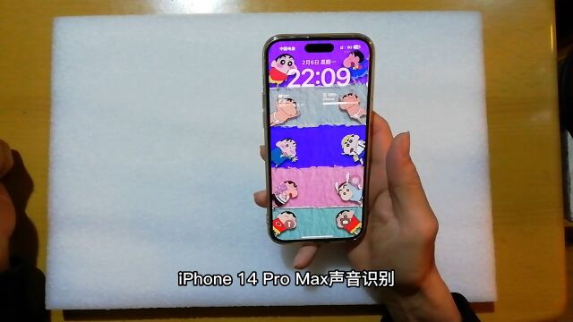 iPhone 14 Pro Max声音识别