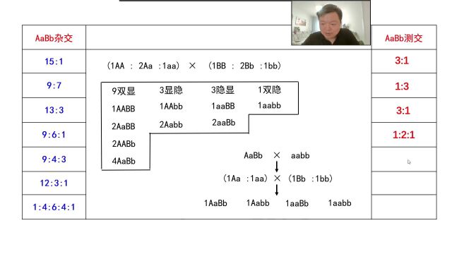 自由组合定律(75)出现9:3:3:1需要满足的条件