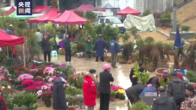 花开春天!湖南花木市场迎来销售旺季