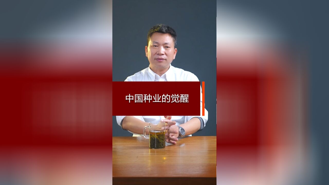 中国种业的觉醒