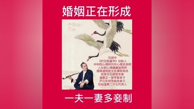 我们正走向一夫一妻多妾#传统文化 #婚姻 #知识分享