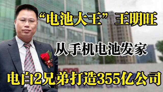 电池大王王明旺,从手机电池发家,电白2兄弟打造355亿公司!