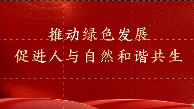 推动绿色发展,促进人与自然和谐共生