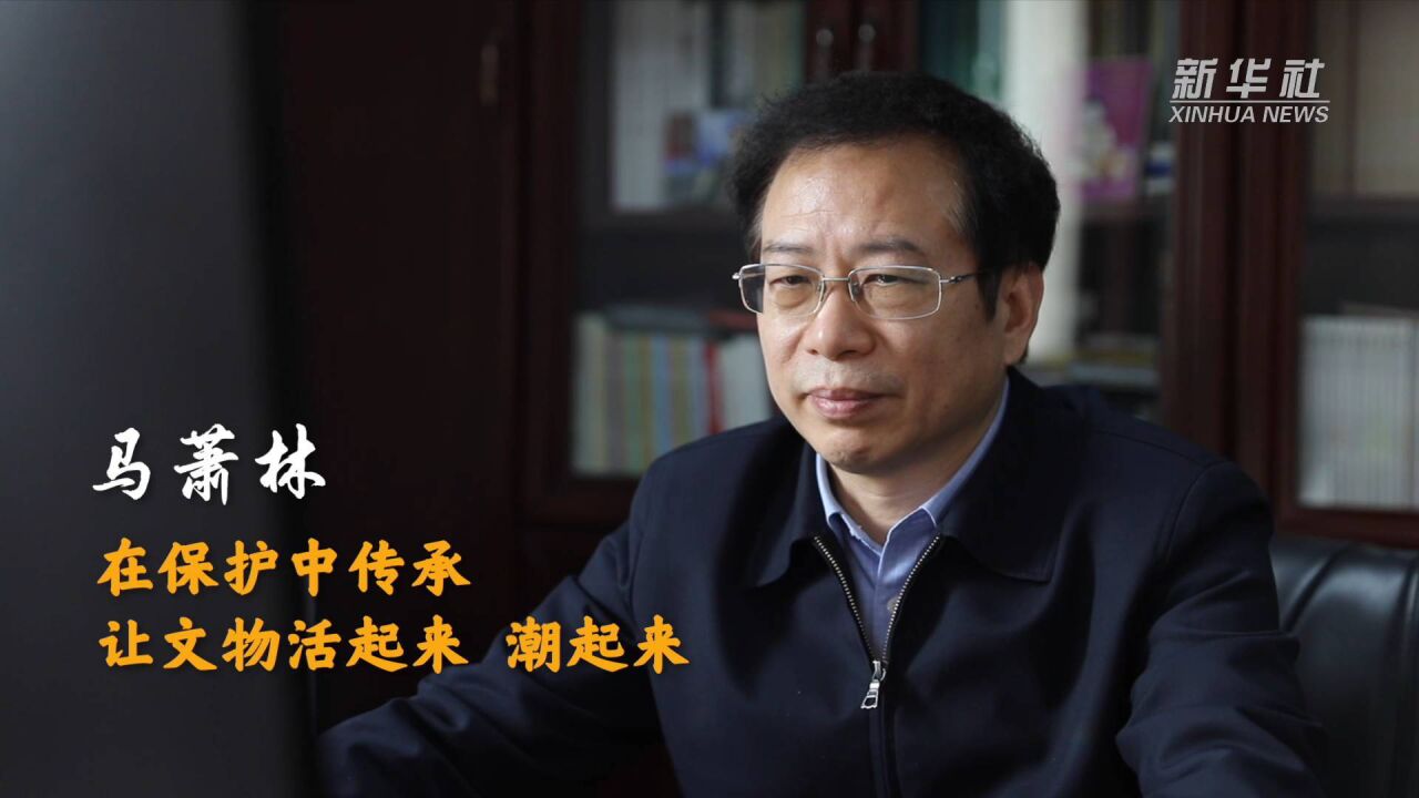 代表委员履职故事|全国政协委员马萧林:在保护中传承 让文物活起来、潮起来