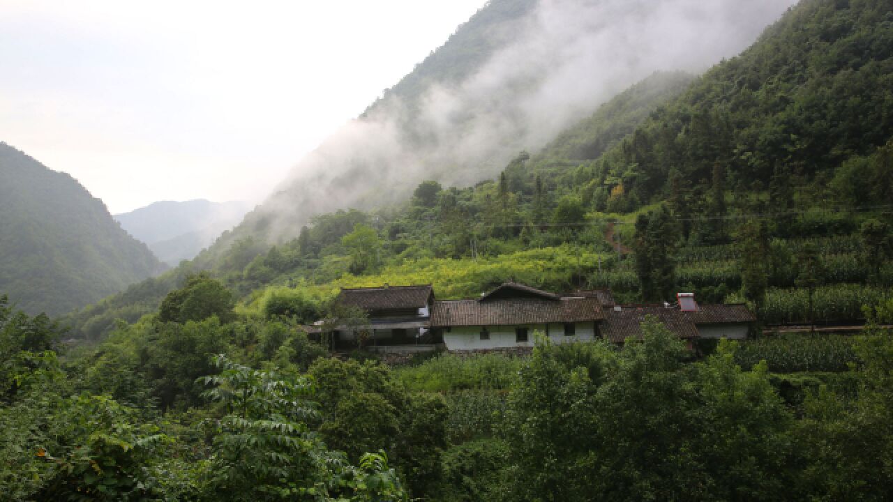 陕西秦岭大山里的农家,家家都是世外桃源