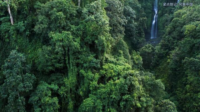 风景中国第22集:海南琼中黎母山森林公园,国庆好玩地