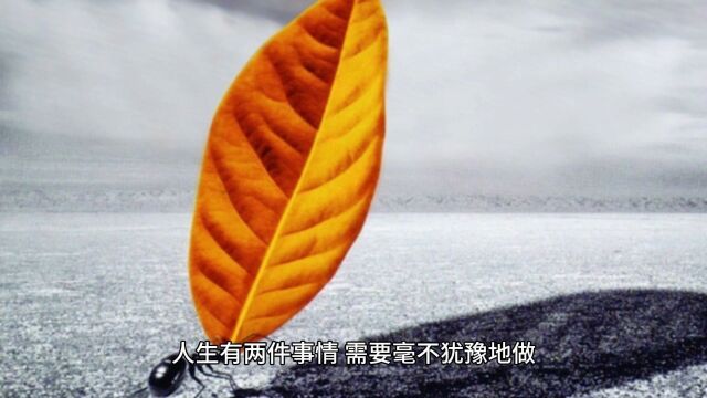 花开堪折直须折,莫待无花空折枝,喜欢就爱